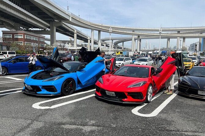 Tokyo Daikoku PA. Custom Car Tour - Exploring the Itinerary: What You Can Expect
