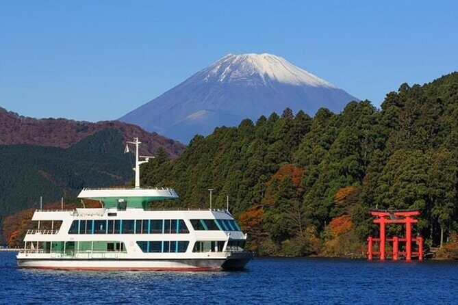 Tokyo Day Tour in Mt.Fuji,Hakone,Cruise,ropeway,Shinkansen w/Meal - A Close Look at the Tour Experience