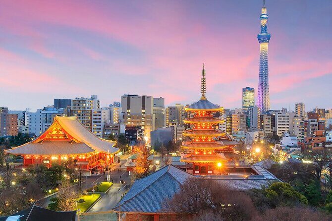 Tokyo day Tour with Lunch/ English-Speaking Driver Cum Guide - Key Points