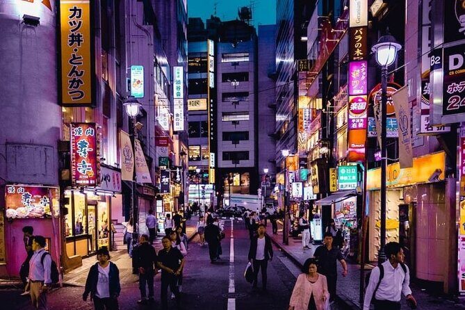 Tokyo day Tour with Lunch/ English-Speaking Driver Cum Guide - Practical Aspects to Keep in Mind