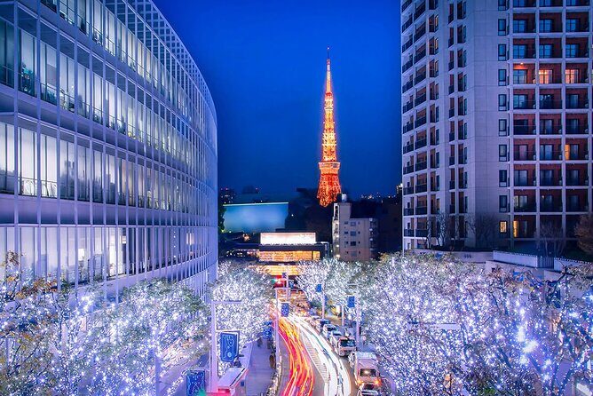 Tokyo day Tour with Lunch/ English-Speaking Driver Cum Guide - FAQ