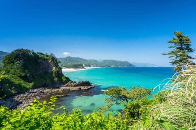 Tokyo Day Trip to Izu and Shimoda - Exploring the Tokyo Day Trip to Izu and Shimoda: A Travel Writer’s Perspective