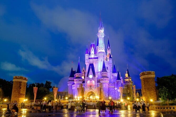 Tokyo Disney Resort Park E-Tickets with Optional Tokyo Metro Pass - Is This Tour For You?