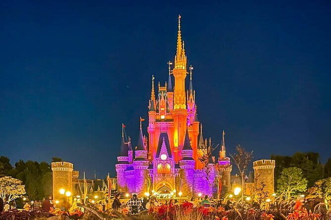 Tokyo Disney Resort Park E-Tickets with Optional Tokyo Metro Pass - FAQ