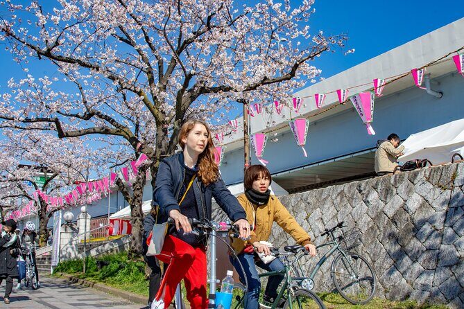 Tokyo downtown bicycle tour Tokyo Backstreets Bike Tour - The Sum Up