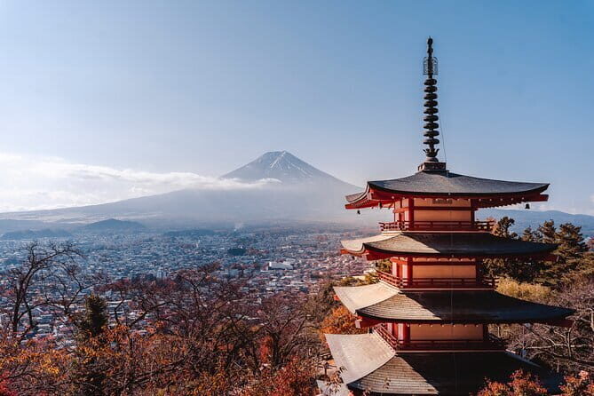 Tokyo: Exclusive City Highlights tour with Eng speaking Driver - Who Will Love This Tour?
