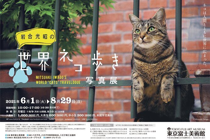 Tokyo Fuji Art Museum Admission Ticket + Special Exhibition (when being held) - The Sum Up