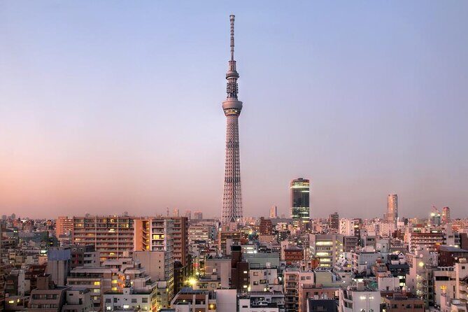 Tokyo Full Day Tour with Licensed Guide and Vehicle from Yokohama - Key Points