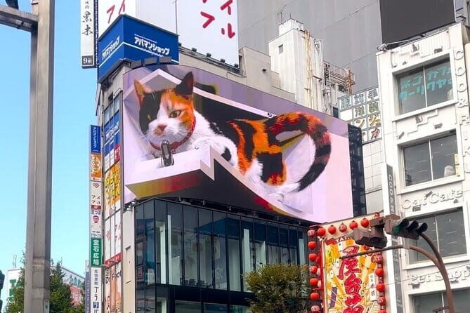 Tokyo Gotokuji Cat temple, Shinjuku Cat cafe and 3D Cat tour - In-Depth Look at the Tour Experience