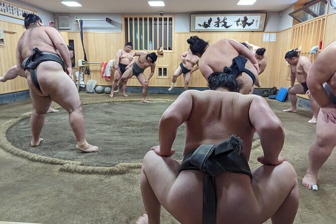 Tokyo Gotokuji Cat temple, Shinjuku Cat cafe and 3D Cat tour - FAQ