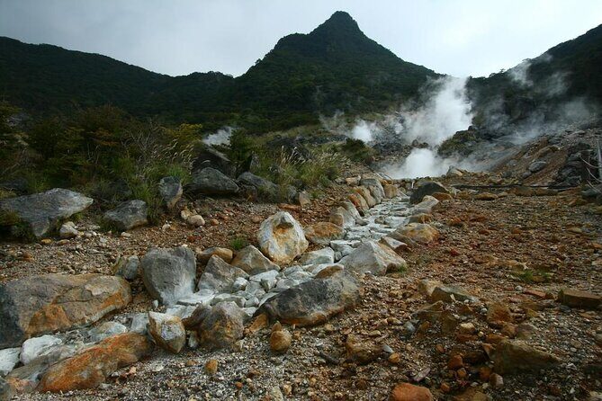 Tokyo: Hakone, Owakudani & Gotemba Premium Outlet 1Day Bus tour - Key Points