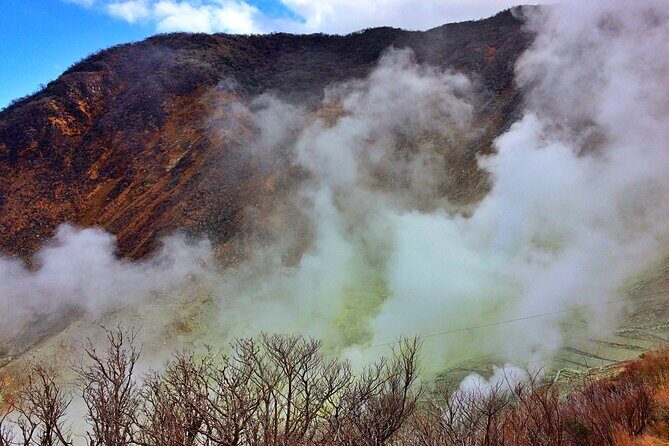 Tokyo: Hakone, Owakudani & Gotemba Premium Outlet 1Day Bus tour - Authentic Experiences and Practical Tips
