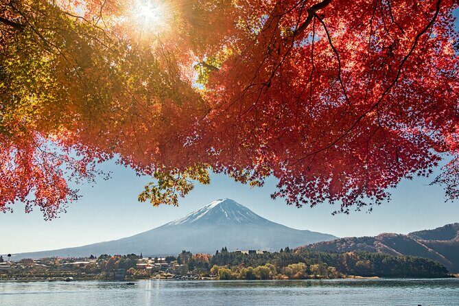 Tokyo: Hakone, Owakudani & Gotemba Premium Outlet 1Day Bus tour - The Sum Up
