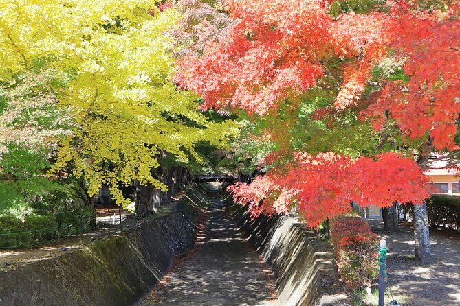 Tokyo: Hakone, Owakudani & Gotemba Premium Outlet 1Day Bus tour - Frequently Asked Questions