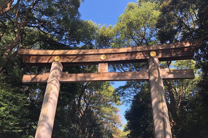 Tokyo Half-day Customized Private Tour - Exploring the Tokyo Half-Day Customized Private Tour: A Practical Look