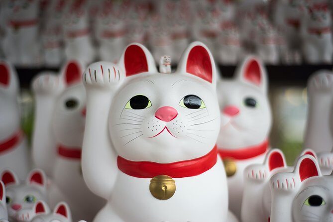 Tokyo Half-day Customized Private Tour - Key Points