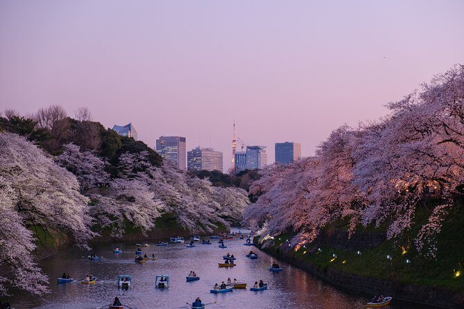 Tokyo Half-day Customized Private Tour - Practical Tips & Insights