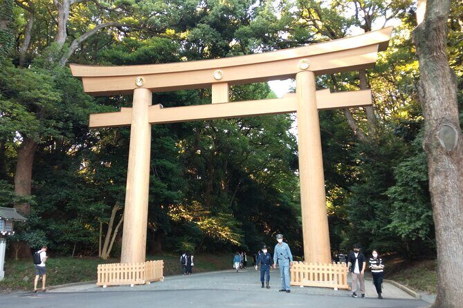 Tokyo Half Day Private Tour / Customization & Hotel Gathering OK! - Introduction
