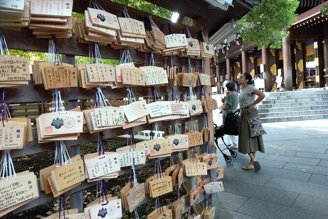 Tokyo Half Day Private Tour / Customization & Hotel Gathering OK! - Authentic Insights from Past Feedback