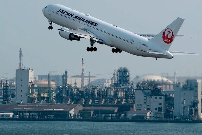 Tokyo: Haneda AirportLuxury Private Transfer - Who Will Benefit Most from This Service?