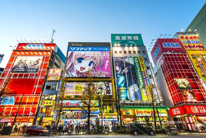 Tokyo History Tour with a Local Guide, Private & Tailored to Your Interests - Value and Pricing