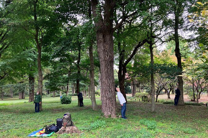 Tokyo Imperial Palace Higashi Gyoen Wellness Tour - Tea Time at Café 33