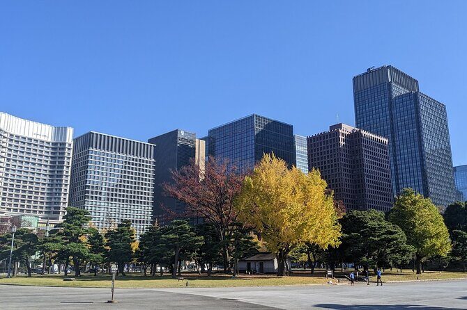 Tokyo Imperial Palace Higashi Gyoen Wellness Tour - Why Choose This Tour?