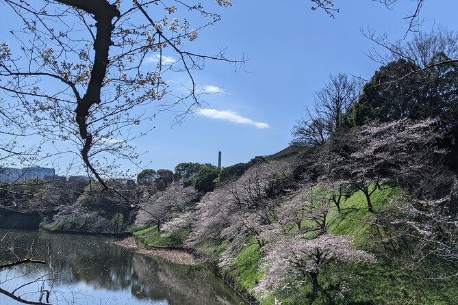 Tokyo Imperial Palace Higashi Gyoen Wellness Tour - Who Should Consider This Tour?