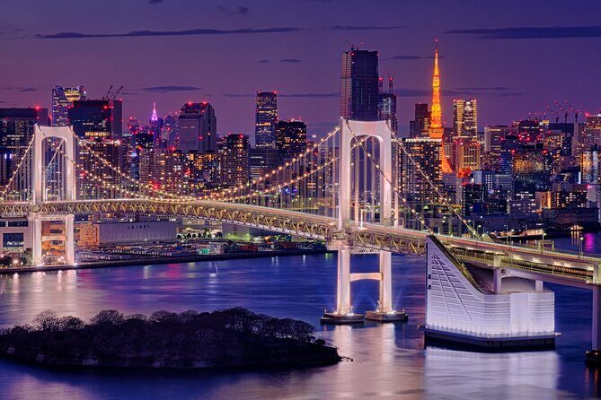 Tokyo in a Day : Private Tour to Shrine, Temples, Towers &Culture - Key Points