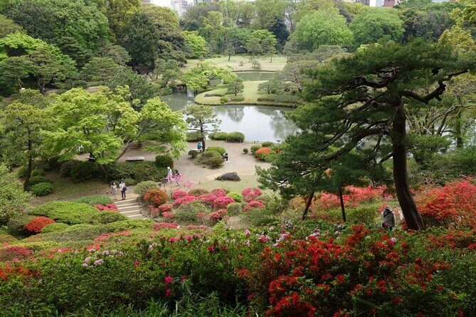 Tokyo Japanese Garden Lover's Private Tour with Government-Licensed Guide - A Deep Dive into the Tokyo Japanese Garden Lover’s Private Tour