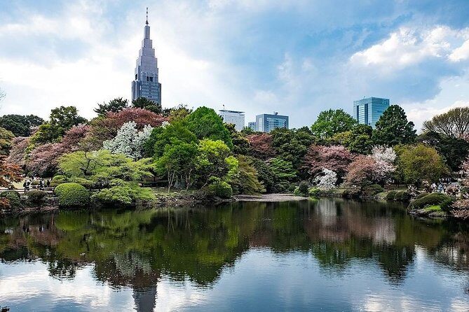 Tokyo Japanese Garden Lover's Private Tour with Government-Licensed Guide - The Itinerary Breakdown: What to Expect