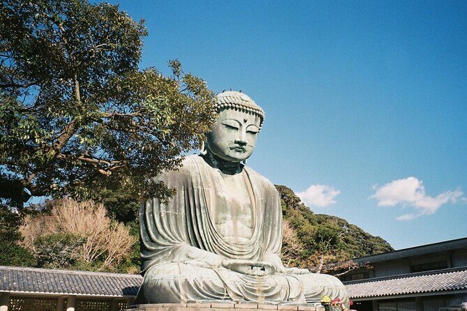 Tokyo Kamakura Day Trip - An In-Depth Look at the Kamakura Day Trip Experience