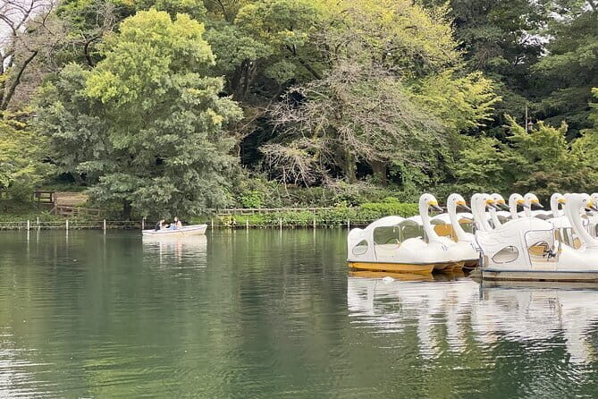 Tokyo Kichijoji 4hr Private Tour: Fun for Kids and Parents - Exploring Tokyo’s Hidden Gem: The Kichijoji Private Tour for Families