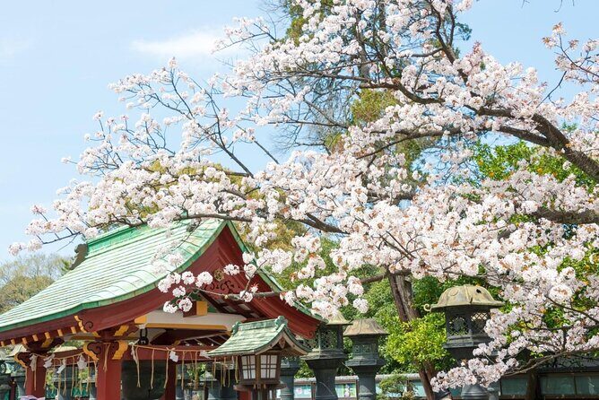 Tokyo Layover Tour with a Local: Private and Tailored to Your Needs - Key Points