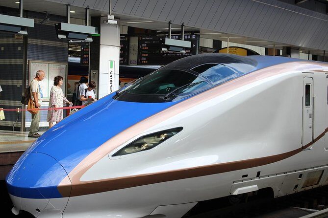 Tokyo Layover Tour with a Local: Private and Tailored to Your Needs - A Closer Look at the Tour Itinerary