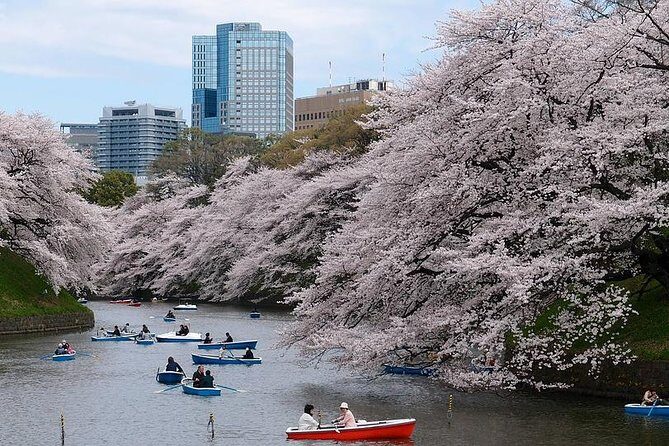 Tokyo Like a Local: Customized Private Tour - Exploring Tokyo with a Personalized Touch