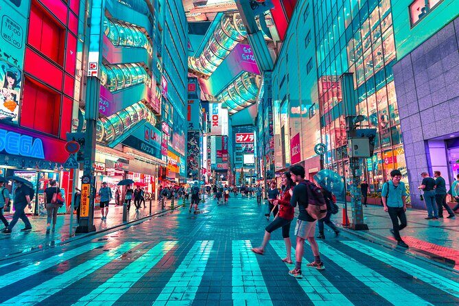 Tokyo Like a Local: Customized Private Tour - Is This Tour Right For You?