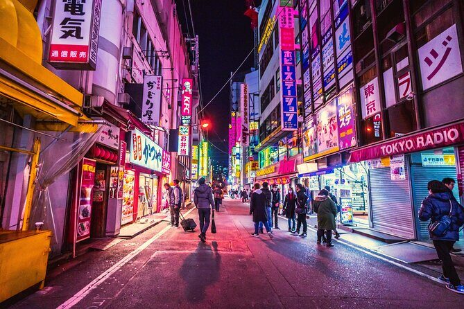 Tokyo Like a Local: Customized Private Tour - The Sum Up