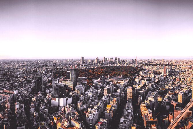 Tokyo Local Fashion Designers Shopping Tour with a Stylist - A Closer Look at the Itinerary