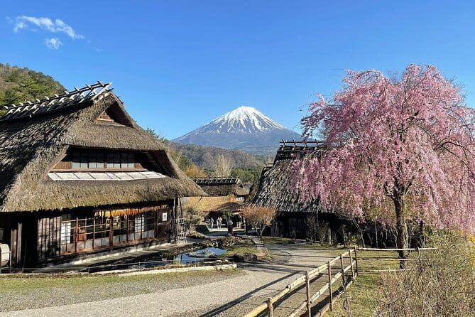 Tokyo: Mount Fuji Must-see Attractions One Day Sightseeing Tour - The Itinerary in Detail: What You Can Expect