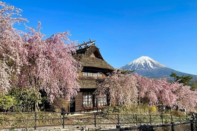 Tokyo: Mount Fuji Must-see Attractions One Day Sightseeing Tour - Final Thoughts
