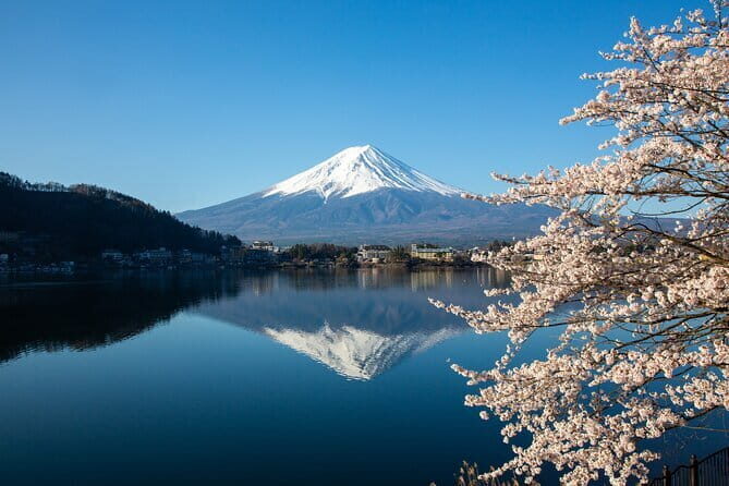 Tokyo: Mt.Fuji 5th Station, Fuji Area & Kawaguchiko 1Day Tour - A Detailed Look at the Tour Itinerary