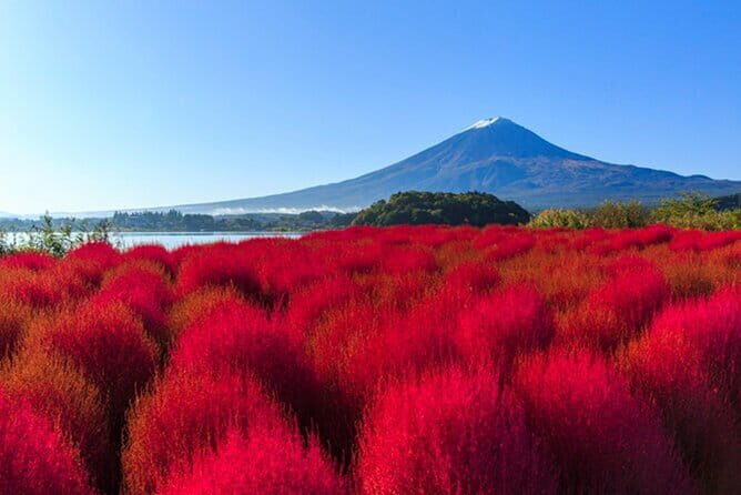 Tokyo: Mt. Fuji and Lake Kawaguchi 1-Day Luxury Bus Tour - Final Thoughts: Is This Tour Worth It?