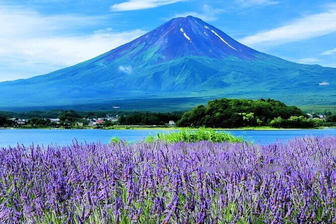 Tokyo Mt Fuji Kawaguchi and Yamanaka Onsen Tour with Pick up - Exploring the Full Day: What You Can Expect from This Tour