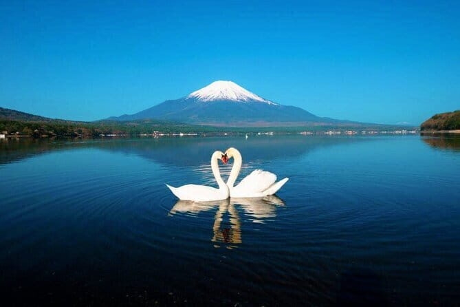 Tokyo Mt Fuji Kawaguchi and Yamanaka Onsen Tour with Pick up - Practical Insights for Travelers