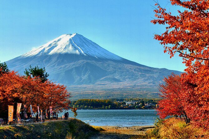 Tokyo: Mt. Fuji, Oshino Hakkai and Gotemba Outlets 1Day Bus Tour - In-Depth Look at the Itinerary
