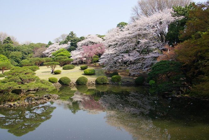 Tokyo Must See Top Hidden Gems In One Day - An Overview of the Experience
