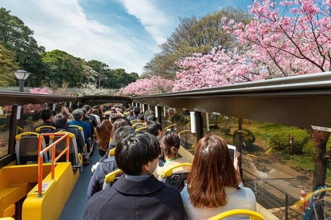 Tokyo: Open Top Sightseeing Bus with Audio Guide - The Experience: A Detailed Look at the Tour