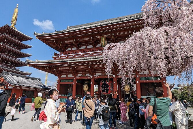 Tokyo Private Car Tour: Professional Guide and Driver/Optional airport xfer - Starting at the Iconic Shibuya Crossing and Hachiko Statue