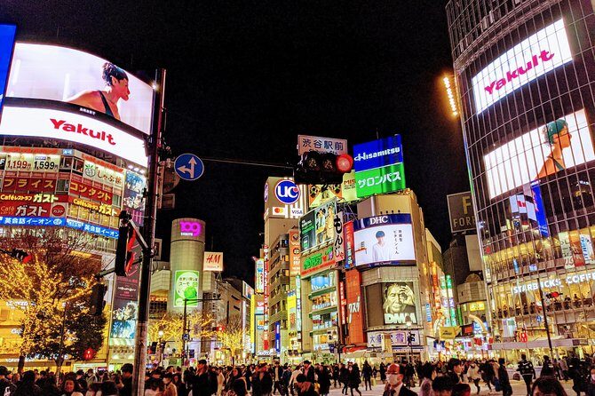 Tokyo Private Car Tour: Professional Guide and Driver/Optional airport xfer - Meiji Shrine and Harajuku: Tradition Meets Youth Culture